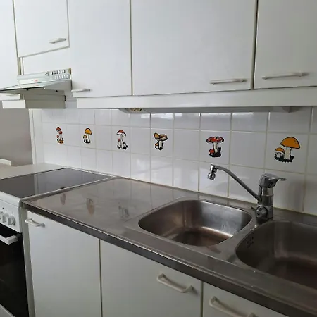 Daire Spacious For 5 Sodankylä